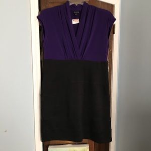 NWT EnFocus Studio Purple & Black Fitted Dress-16